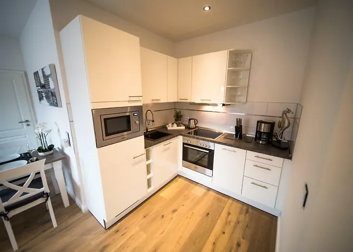 Duenenrose * فيسترلاند